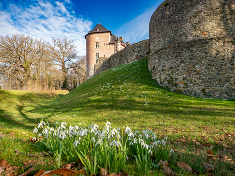 Kasteel van Gaasbeek