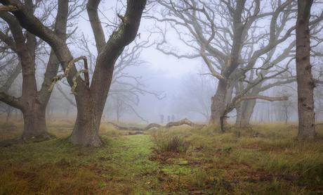 Wandelaars in de mist