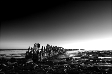 Wierum [061]