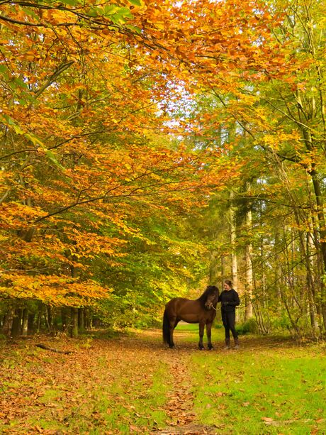 Herfst!