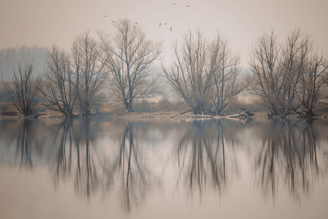 Serene weerspiegeling 