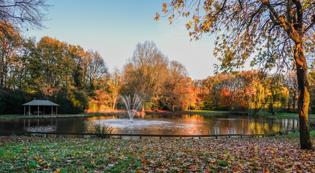 Mooie herfst hebben we gehad .....