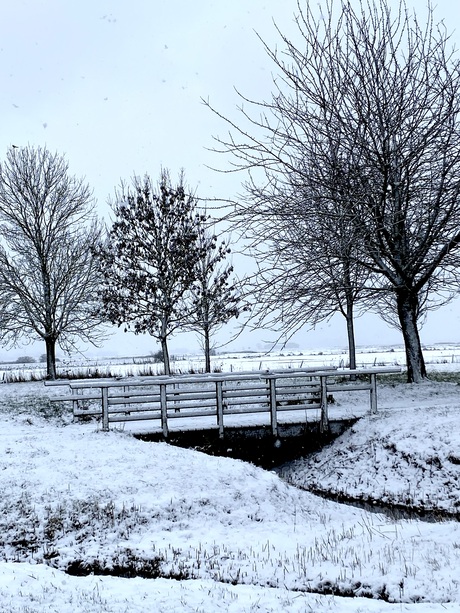 Snow on the bridge