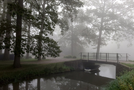 Misty morning