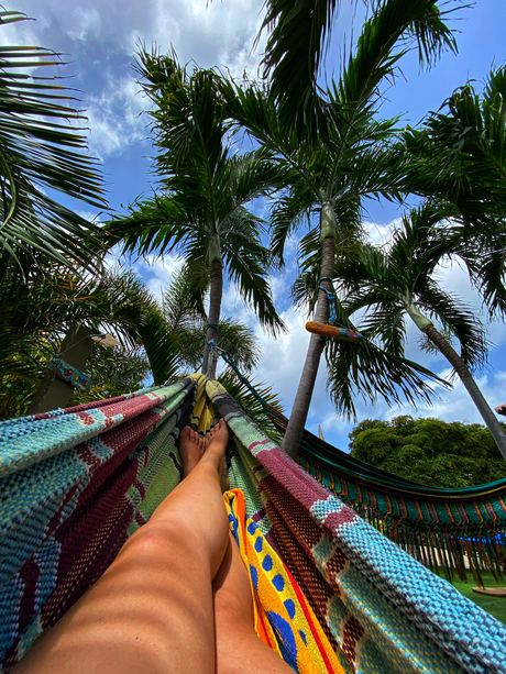 All you need is a hammock a day