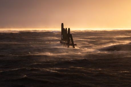 Gouden golven