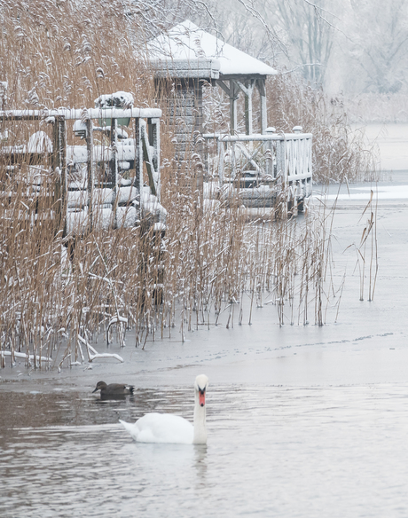 Het winterplaatje compleet