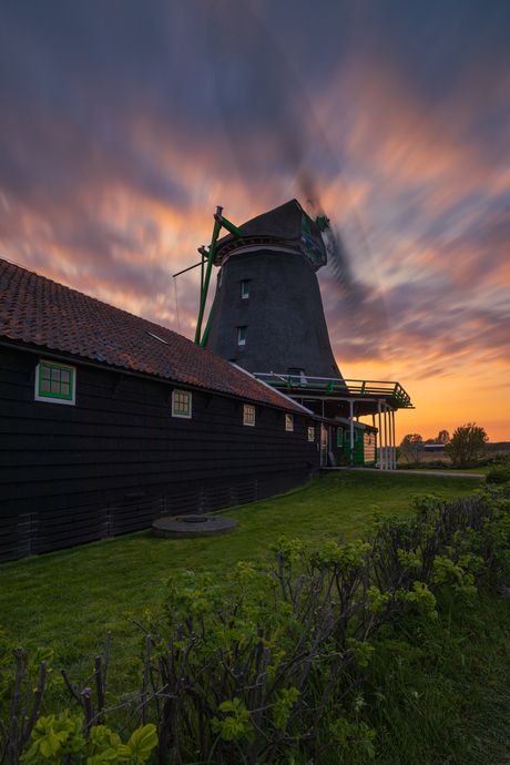 Molen aan het werk