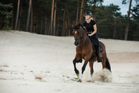 Hulpeloosheid Bijdrager Doornen Paardrijden - foto van IlonaDeLange - Sport - Zoom.nl