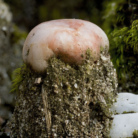 Roze kiezel op zandpilaartje