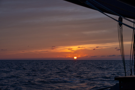 waddenzee