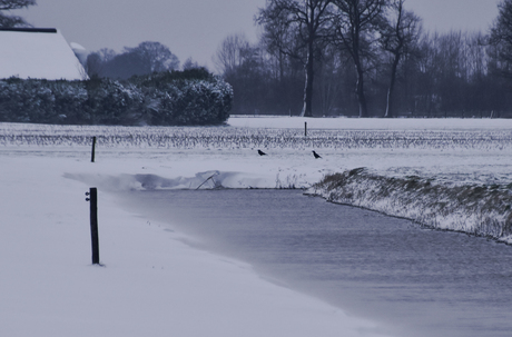 winters landschap