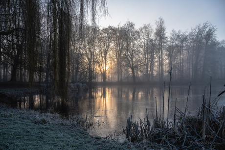 koude meer