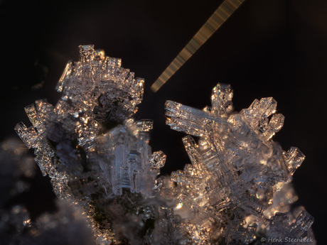 Magische ijskristallen