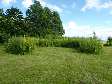 Hoefijzervormig Bloemenperkje