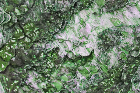 Groen knollenland?