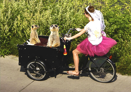 watjes................................