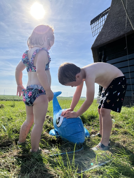 Waterpret bij de molen