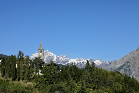 Sint Bernard
