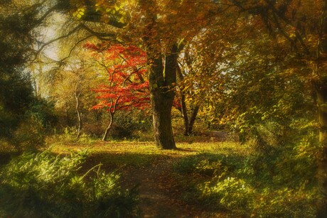 Herfst in Park Frankendael