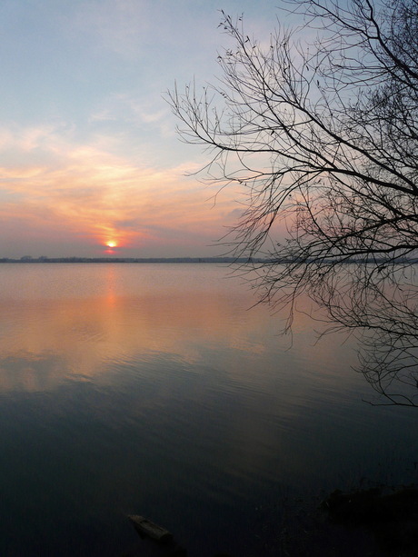 Uit het  archief 2010.