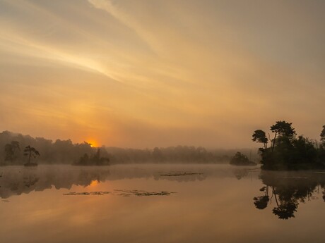 Gouden zonsopkomst Oisterwijkse Vennen