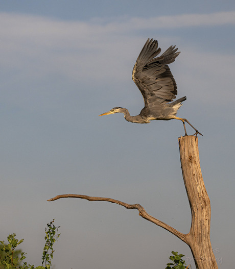 take off