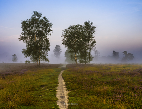 balloerveld