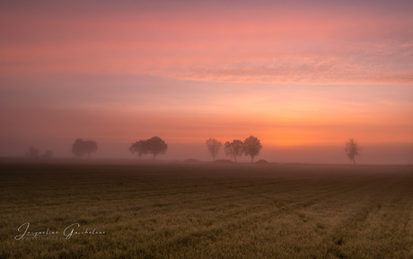 Een prachtige zonsopkomst 