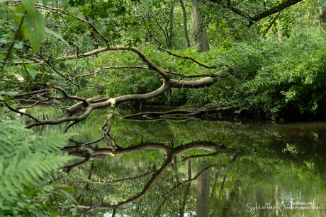 Leudal Limburg