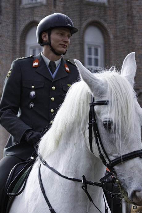 militaire met zijn paard!