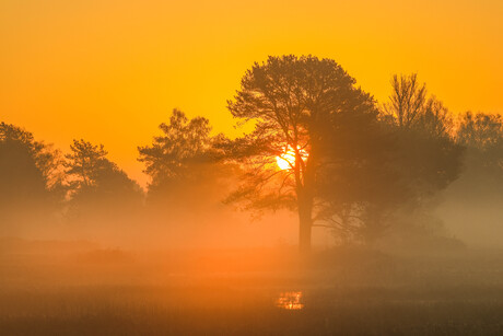 zonsopkomst 