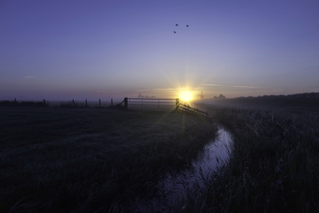 Polder plaatje