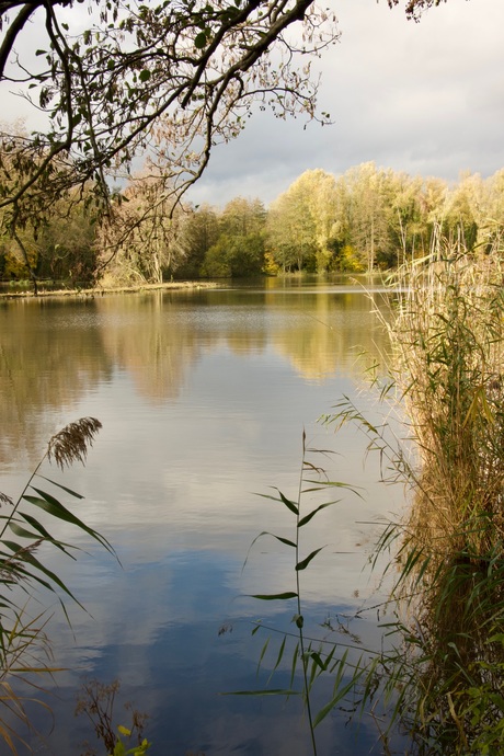 Natuur Limburg
