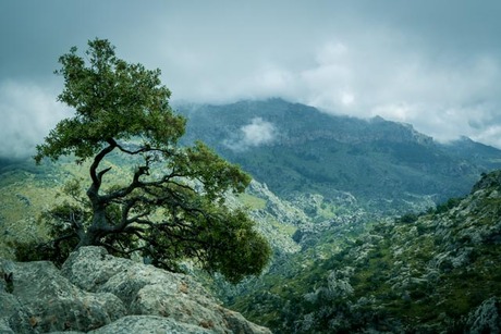 Mountains of Mallorca