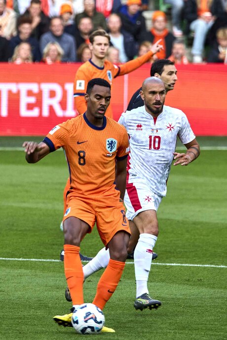 Het grote oranje