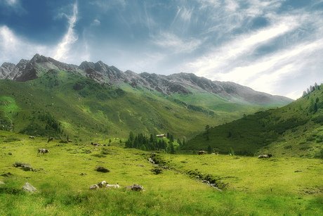 Berg landschap