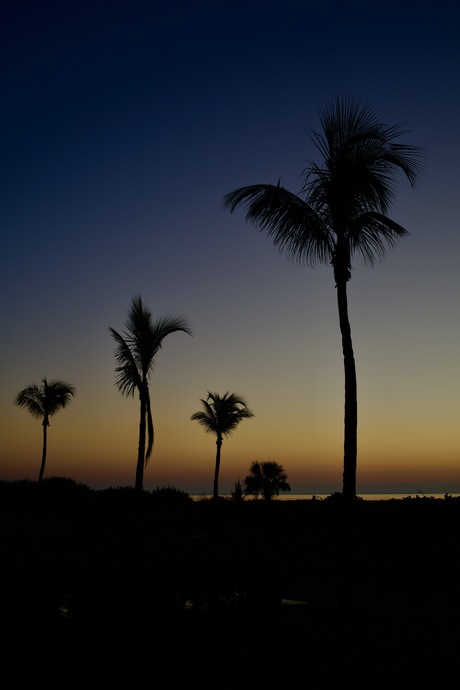 Sanibel Sunrise