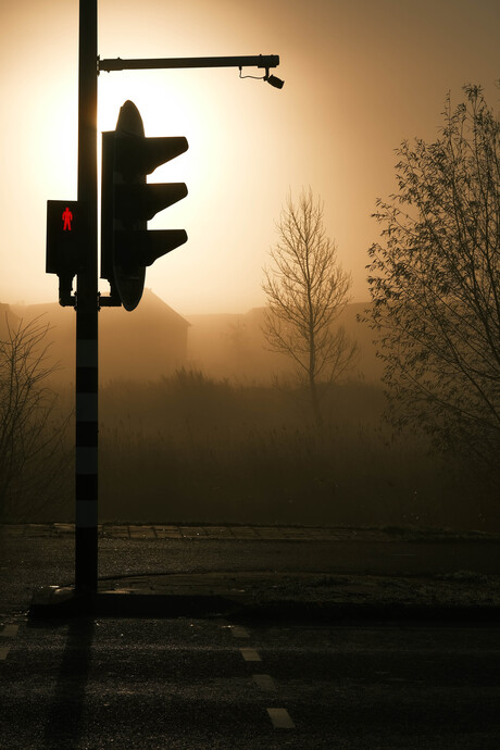 Traffic Light