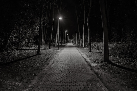 Nachtelijke Stilte: Verlicht Pad door het Park