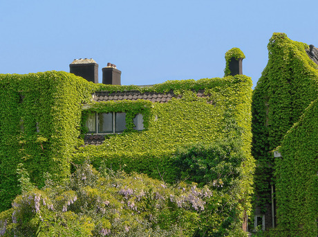 isolerende begroeing