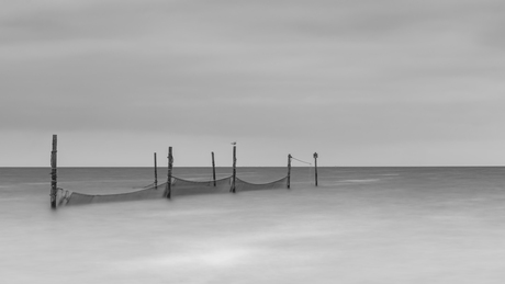Visstokken Markermeer 