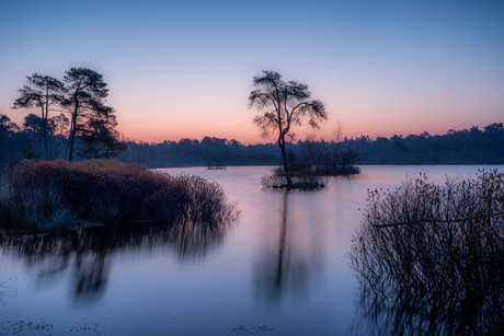 Oisterwijkse vennen