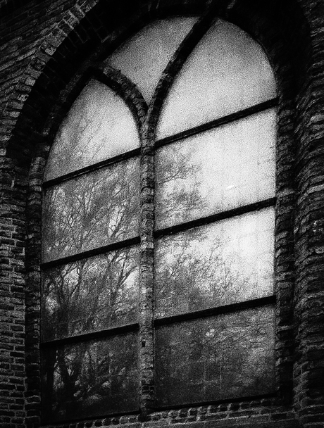 In de schaduw van het gesternte