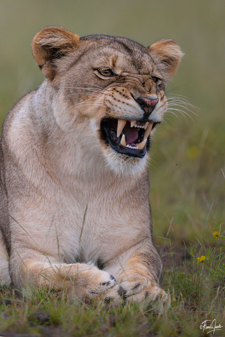 The Queen is not happy