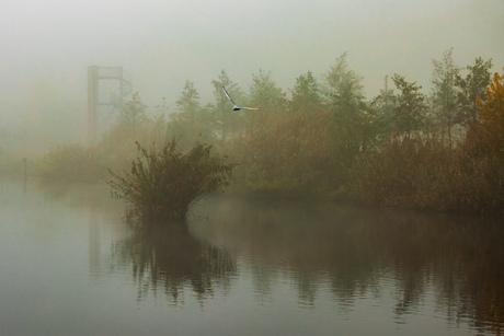 Ochtendnevel in november