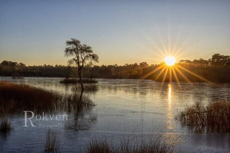 Hoogwater 