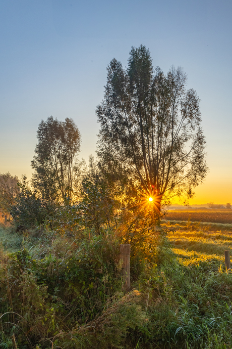 Zonsopkomst...