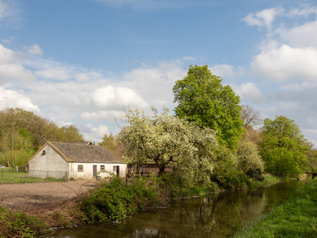 Lente langs de Langbroekerdijk