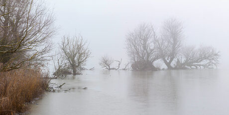 Winter oostvaarderplassen